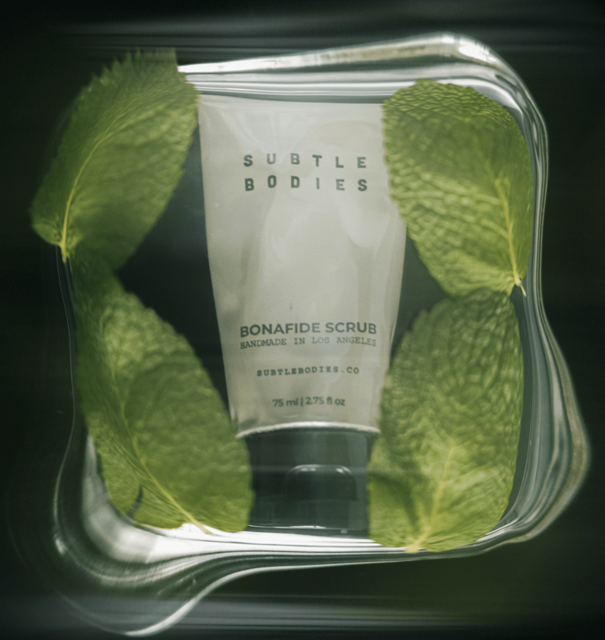 About – Subtle Bodies